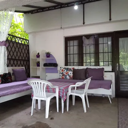 Hébergement de vacances Danica House Krivolak